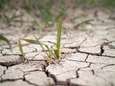 West-Vlaams verbod om nog water op te pompen door aanhoudende droogte breidt uit