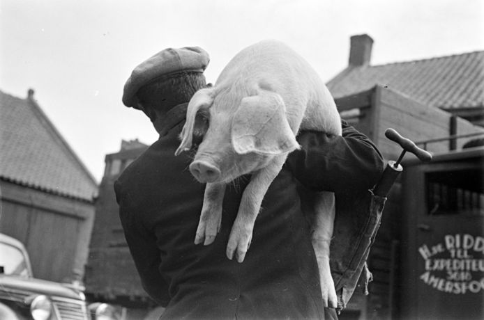Naoorlogs beeld van de Osse biggenmarkt (1949)