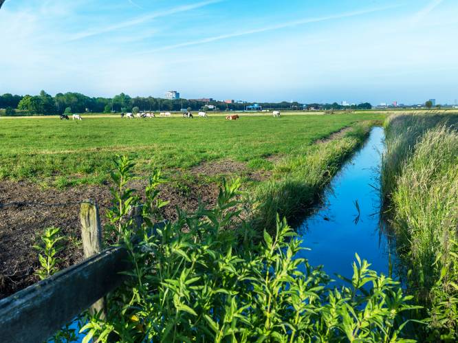 Stadsbestuur wil niets weten van alternatief windmolenplan in Utrechtse polder