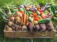 Vegan op het platteland? Dat is allesbehalve makkelijk