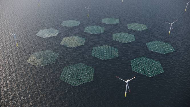 Zonnepanelen én waterstofproductie, nieuw windparken worden slimmer