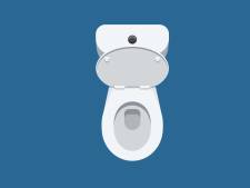 De perfecte drol ruikt niet heel erg en vier andere weetjes over je ontlasting