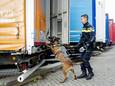 De politie controleert met een ‘migratiehond’ op een haventerrein. Op deze wijze werd de trailer met 26 verstekelingen uit Albanië en Afghanistan gevonden. De oplegger was achtergelaten door trucker F. P. uit Dordrecht.