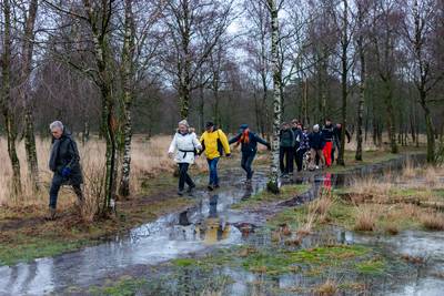 Na een stevige wandeling door de bossen genieten van een heerlijke pannenkoek