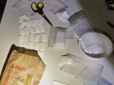Grote hoeveelheden drugs en cash gevonden in huis in Hoogeloon