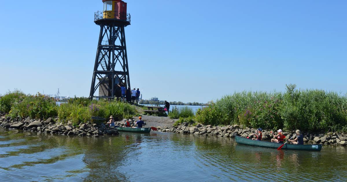 Ramen ingegooid en lamp gejat: vandalen beschadigen het ‘vuurbaken’ van Strijensas