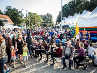Wat te doen in Brussel, de Rand en het Pajottenland dit weekend: van volksfeesten in Dilbeek tot groen genieten in Londerzeel