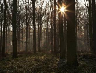 Toelage voor Natuurpunt voor gronden in Bruggeneindse Goren


