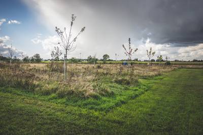 Drongen heeft eerste Vlaamse natuurbegraafplaats: “Geen gedenktekens, geen bloemen, hooguit een nestkastje aan een boom”