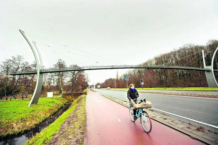 De eekhoornbrug tussen Den Haag en Wassenaar over de Benoordenhoutseweg. foto Arenda Oomen/HH