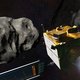 Primeur voor mensheid: Nasa laat ruimtevaartuig te pletter slaan op asteroïde (en dat was de bedoeling)