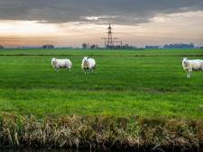 Windmolens in Utrecht? ‘De eerlijke boodschap is dat ze ergens moeten staan’