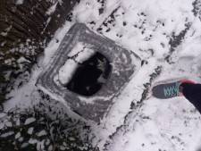 Un chaton blessé abandonné en pleine nuit glaciale: “Les gens n’ont même plus honte”
