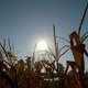 Augustus was warmste maand ooit op onze planeet