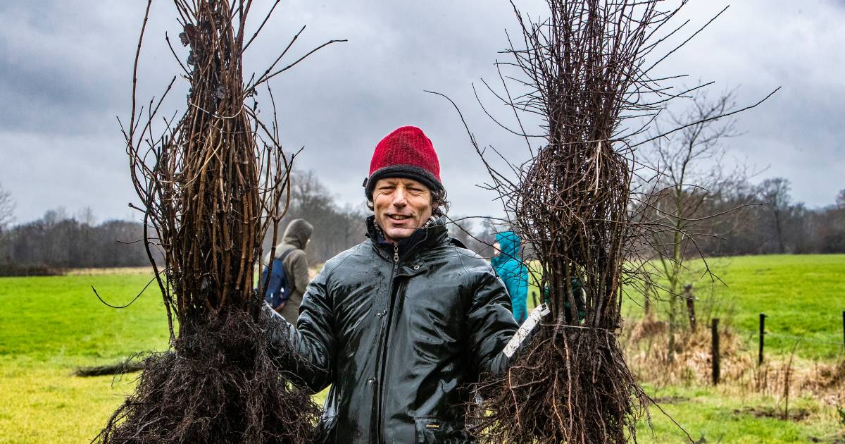 In Lettele krijgen de landbouwvernieuwers van Land van Ons voet aan de grond: ‘Iedere boom die we pl