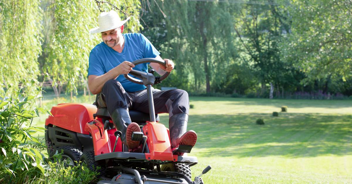 Cut the grass?  Then get insurance first, according to the German government  outside