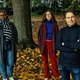 De link tussen onderdrukking van natuur en achtergestelde groepen: ‘De Vlaamse regering toont elke dag hoe het niet moet’