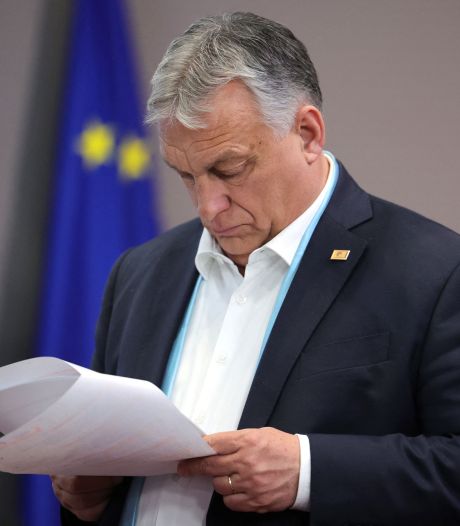 Le Parlement hongrois ratifie l'adhésion de la Finlande à l’Otan